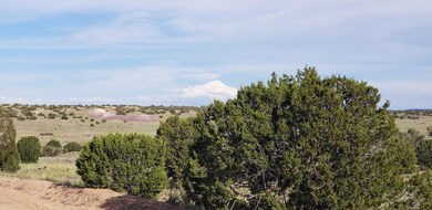 ViewtotheKnollfromtheLand
