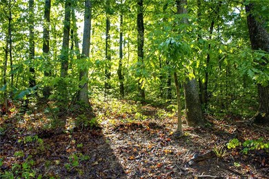 View of local wilderness featuring a view of trees