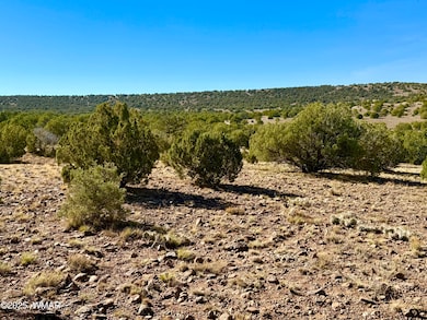 0 Kirkland Dr 20 Acres unit 258779, Concho, AZ 85924 - photo 5