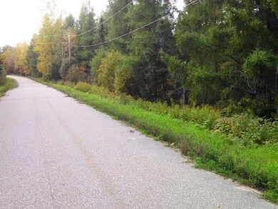 8 Acres Duck Ln, Deerbrook, WI 54424 - photo 7