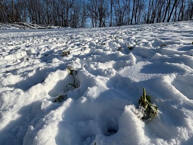 TBD57 E Burns Valley Rd, Winona, MN 55987 - photo 7