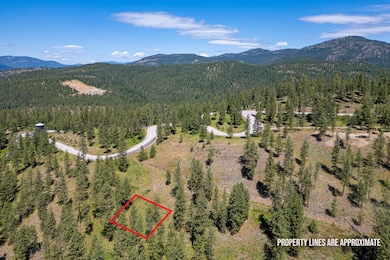 xxx-palmer-loop-lot-21.crest I (11)