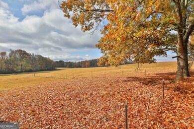 LOT 6 Mask Road - Hanner's Farm S, Brooks, GA 30205 - photo 3