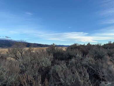 TBD Deer Loop Rd (32 Ac), Council, ID 83612 - photo 5