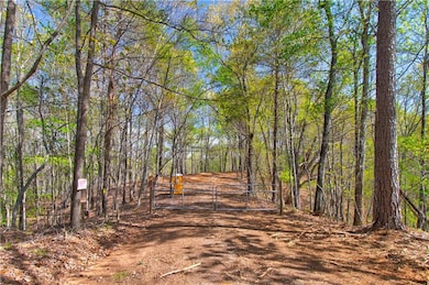 TRACT1 Panorama Dr, Dahlonega, GA 30533 - photo 5