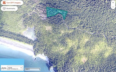 Image 2-26-24 at 2.29 PM