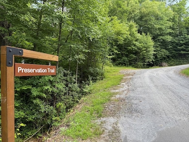 Lot 59 Garnet Rd, Sylva, NC 28779 - photo 4