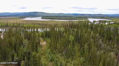 1327.6 B2 Alaska Hwy, Tok, AK 99780 - photo 4