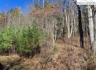 TBD River Front Dr, Jefferson, NC 28604 - photo 4