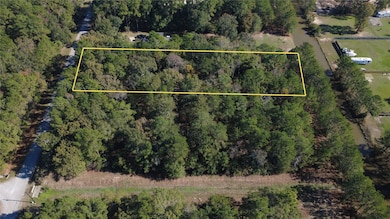 23080 Volga Dr, Porter, TX 77365 - photo 4