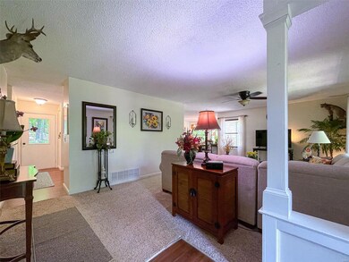 9212 River Bluff Farms Rd, Farmington, MO 63640 - photo 5