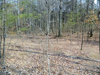 0 Stewart Ln unit 1261078, Rising Fawn, GA 30738 - photo 3