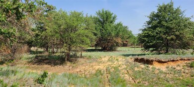 2750 Carter Rd, Springtown, TX 76082 - photo 2