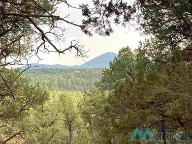 86 Wagon Wheel Ln, Silver City, NM 88061 - photo 2