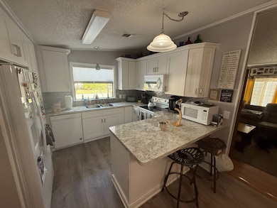 219 Las Palmas Blvd, North Fort Myers, FL 33903 - photo 7