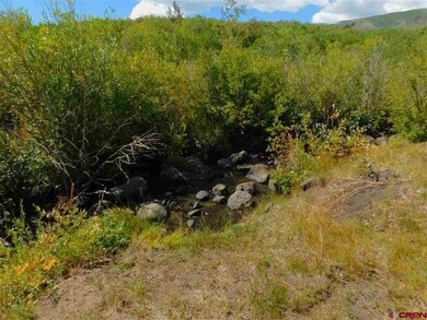 Lot 12 Aspen Hills Rd, Cedaredge, CO 81413 - photo 2