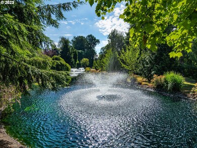 Pond