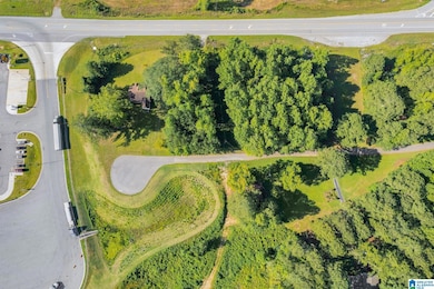 0 Highway 46 unit 1.9 21430374, Heflin, AL 36264 - photo 5