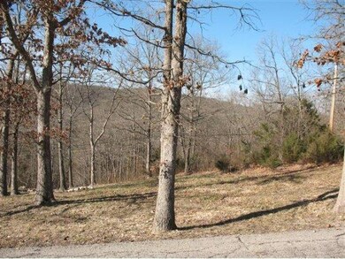 Lot 23 Irish Hills Blvd, Kimberling City, MO 65686 - photo 3