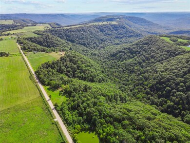 19987 Winfrey Valley Rd, Winslow, AR 72959 - photo 4