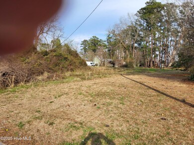 0 4th St unit 100491690, Aurora, NC 27806 - photo 7