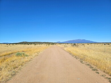 0 La Deora Blvd unit 25570437, Walsenburg, CO 81089 - photo 6