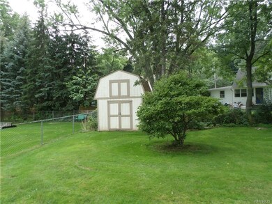 Shed