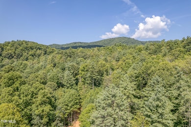 0 Waters Rd, Laurel Blmry, TN 37680 - photo 4