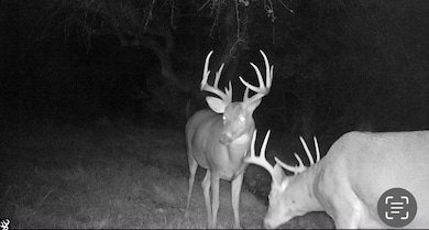 V L Hatton Rd, Farwell, MI 48622 - photo 3