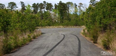 17 Welch Ct, Little Egg Harbor Township, NJ 08087 - photo 2