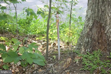 0 Hampshire Grade Rd unit 1002439090, Hedgesville, WV 25427 - photo 5