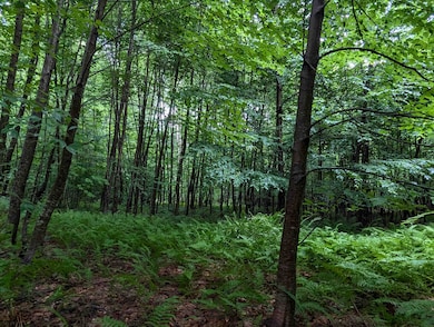 0 Dover Rd unit 5054979, Newfane, VT 05345 - photo 3