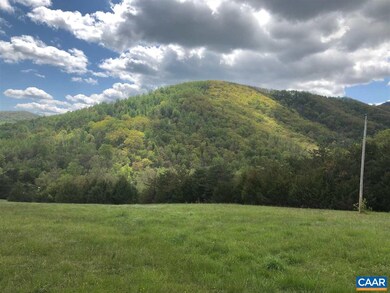 2436 Bacon Hollow Rd, Dyke, VA 22935 - photo 6