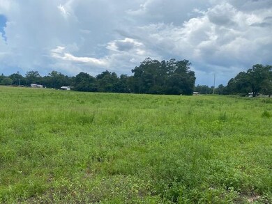 Lot 2A Antioch Rd, Conway, SC 29527 - photo 6