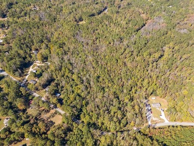 0 Hog Liver Rd unit 148331, Carrollton, GA 30117 - photo 3