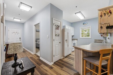 Kitchen featuring dark wood-style floors, a sink, 