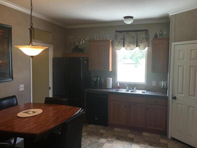 3295 Thunder Rd, Middleburg, FL 32068 - photo 3