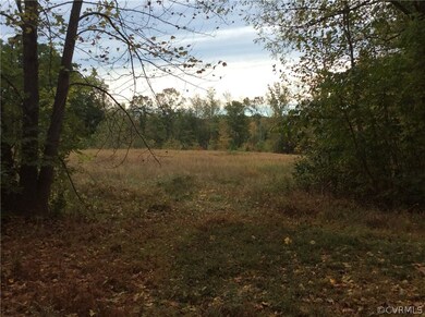 5613 Old Buckingham Rd, Powhatan, VA 23139 - photo 5