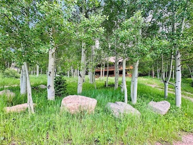 834 Ponderosa Rd, La Veta, CO 81055 - photo 6