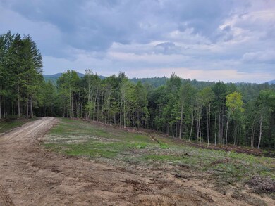 17-18 Halls Brook Rd, Groton, NH 03266 - photo 2