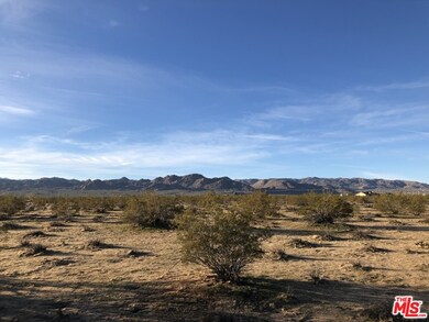 5340 California Ave, Joshua Tree, CA 92252 - photo 7