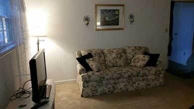Living Room Photo #1