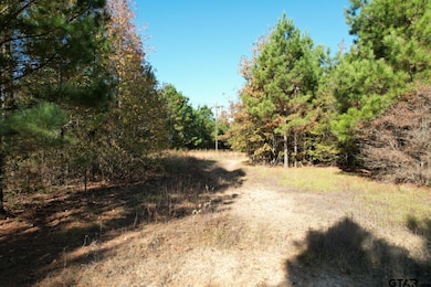 TBD Fm 1650, Gilmer, TX 75645 - photo 2