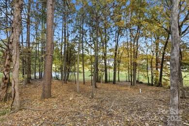 301 Bing Crosby Blvd, Bermuda Run, NC 27006 - photo 5