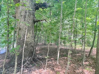 S SD State Route 103, Rushville, IL 62681 - photo 7