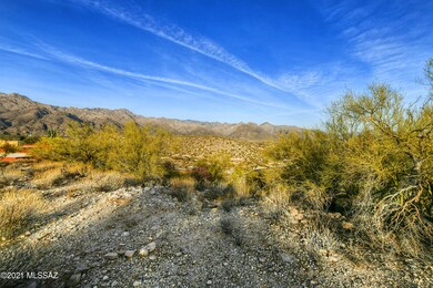 DSC_9088A