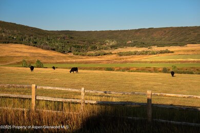 TBD Old Herron Rd unit Lot 48, Basalt, CO 81621 - photo 7