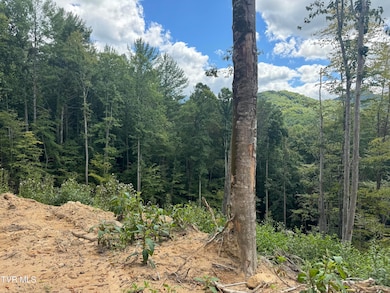 221 Shell Creek Rd, Roan Mountain, TN 37687 - photo 7