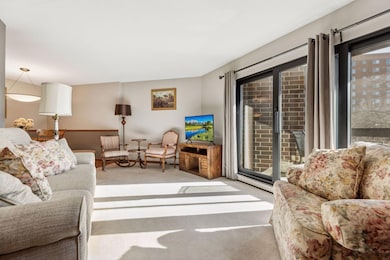 6615 Lake Shore Dr S unit 403, Richfield, MN 55423 - photo 5