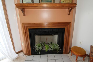 Frieplace